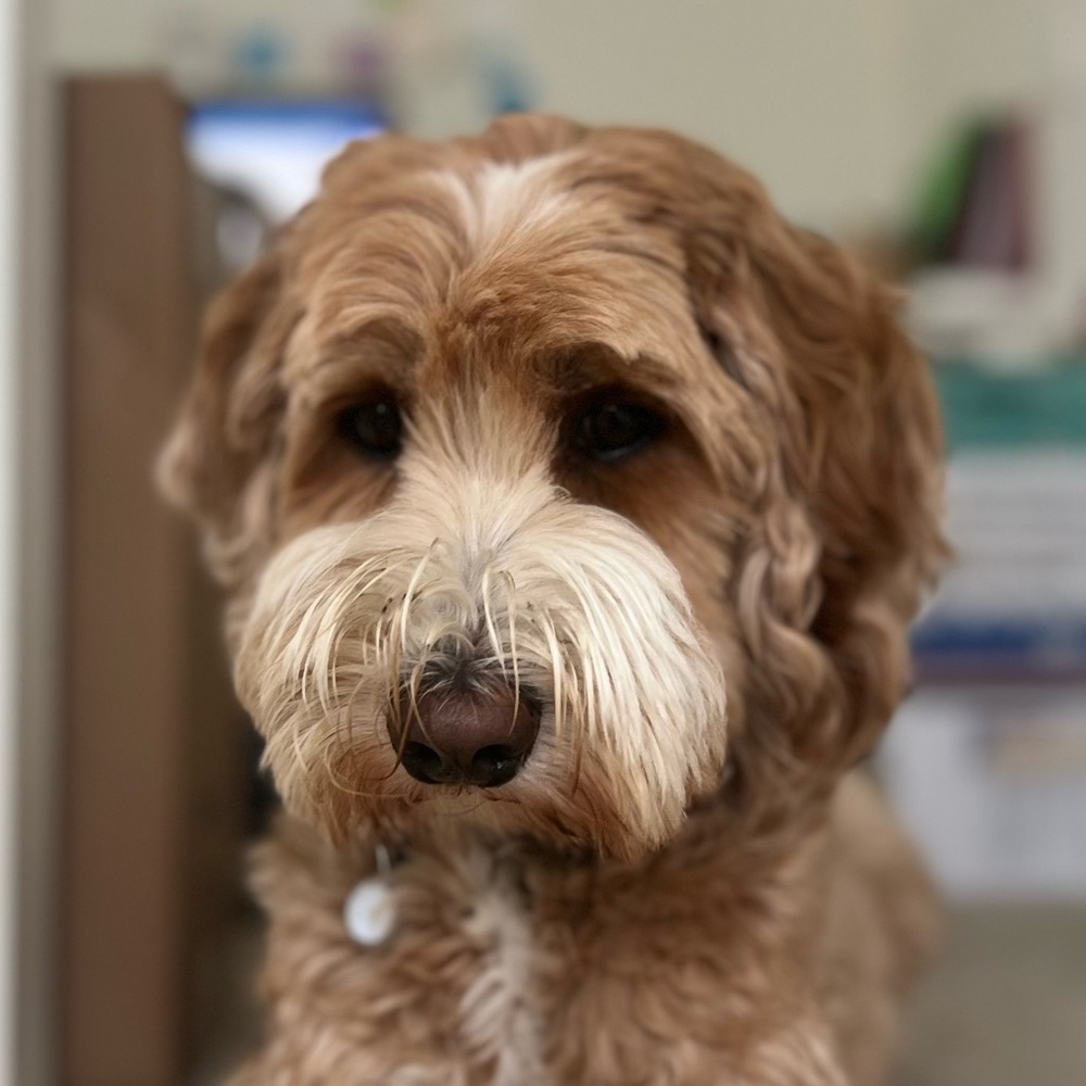 Meet your Posher, Sky
